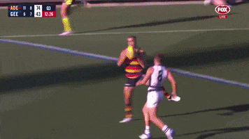 Round 1 Goal GIF by Adelaide Crows