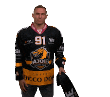 Hockey Switzerland Sticker by HC Ajoie