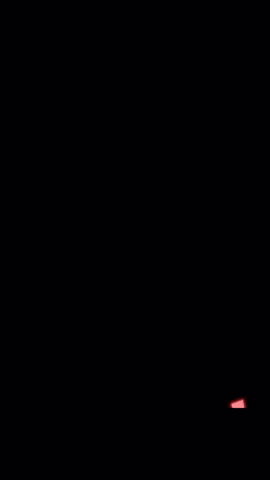 Dansorium GIF