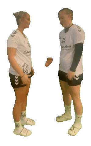 Lsv Sticker by Luener SV Handball