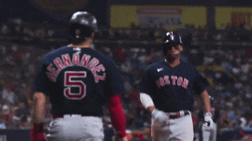 High Five Red Sox GIF by MLB