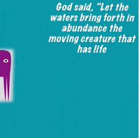 Octopus GIF