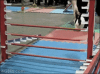 epic GIF