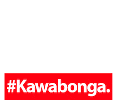 Kawabonga-Party Sticker