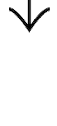 Illustration Sticker