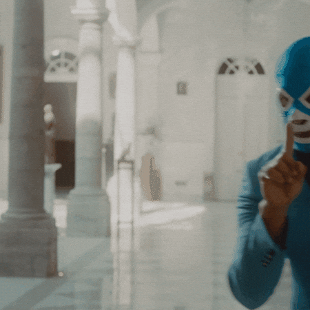 Cats No GIF by Don Gato Tequila