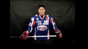 graceland-tokyo sports hockey japan wings GIF
