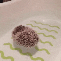 Floating Hedgehog animated GIF