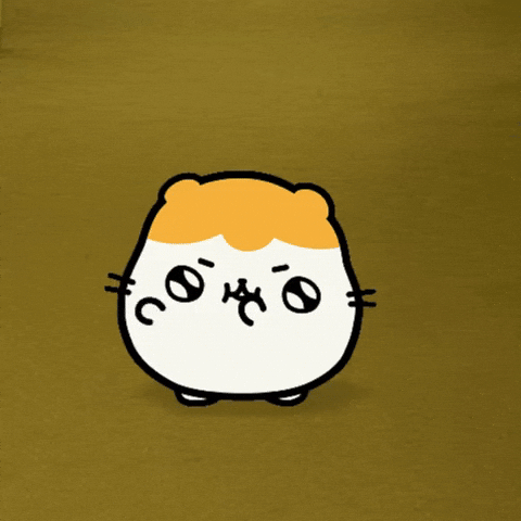 Dance Hamster GIF