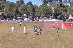 Ocsc GIF by Oldcamberwellsc