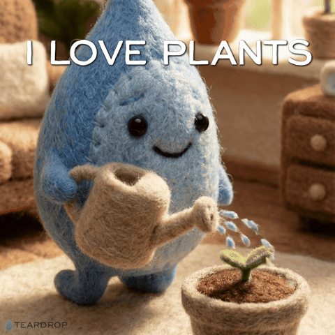 Water Flowers GIF by Teardrop