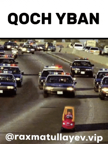 Uzbek Qoch GIF