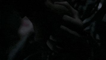 AshleyBrie55  GIF
