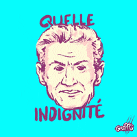 Sarkozy Indignite GIF