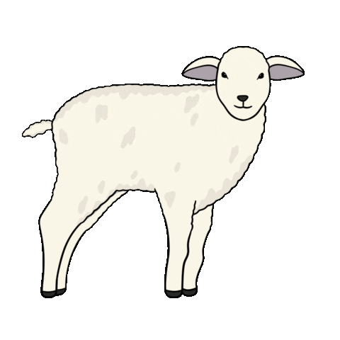 Sheep Lamb Sticker by VVV Texel