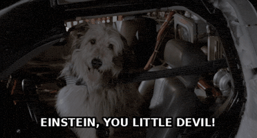 Back To The Future GIF