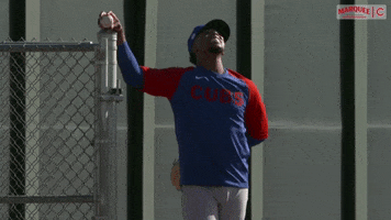 Chicago Cubs Strop GIF by Marquee Sports Network