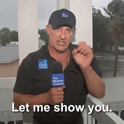 Video gif. Interview with meteorologist Sam Champion on The Weather Channel. He holds a microphone to his mouth and gestures with his pointer finger at us with an intense and concerned expression in front of a flooded neighborhood and wind blowing through a palm tree. Text, "Let me show you."