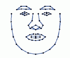 facial recognition