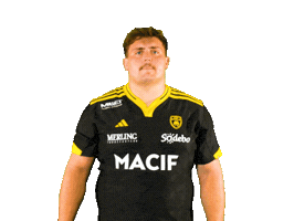 Rugby Sticker by Stade Rochelais