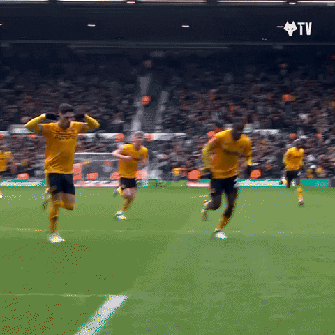 Cant Hear Premier League GIF by Wolves