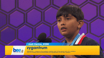 Spelling Bee Yes GIF by Scripps National Spelling Bee