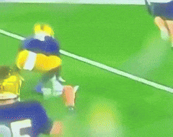 Arizona Cardinals GIF