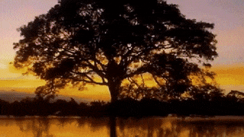 angel_gilberto_paz_escalante paisajes, amanecer,montaÃ±as GIF