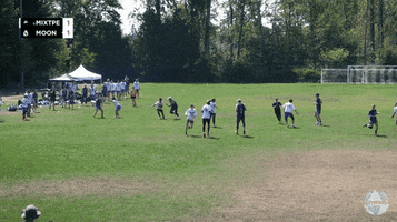 Bad GIF