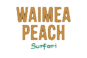 Smoke Surf Sticker by SurfariShisha