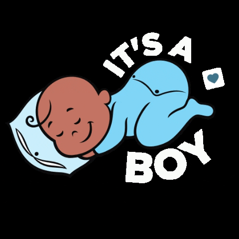 SFHM boy bebe menino gravida GIF