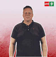 Burgermeister Thumps Up GIF by SPÖ Steiermark