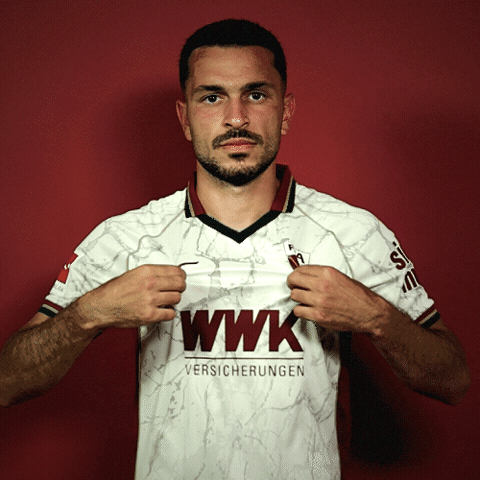 Bundesliga Ibrahimovic GIF by FC Augsburg 1907