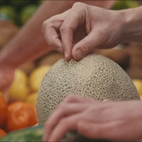 Fruit Melon GIF by Kacey Musgraves