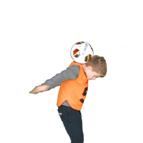 DropTalents Sticker
