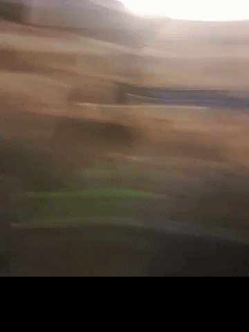 Valeriorvieto GIF