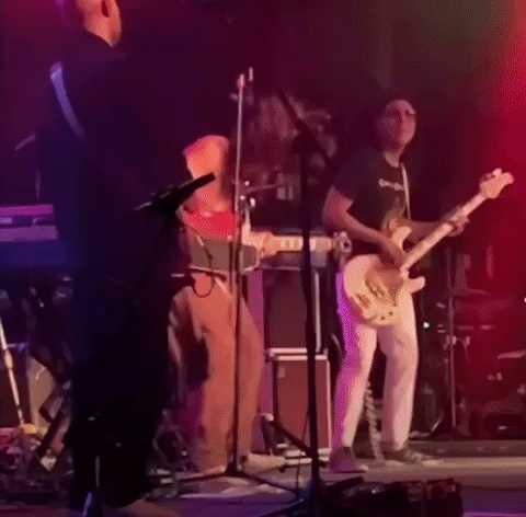 Live Music GIF by Norwalk Brew House