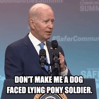 Don't Make Me a Dog Faced Lying Pony Soldier