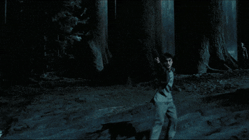 Harry Potter Crypto GIF by DONUTs