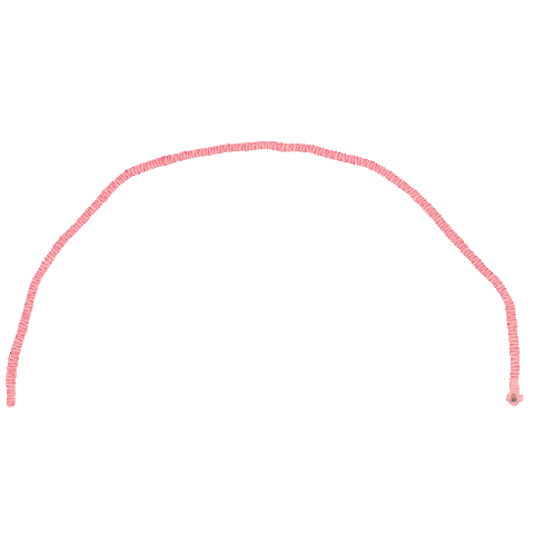 Rainbow Worms Sticker by Corraini