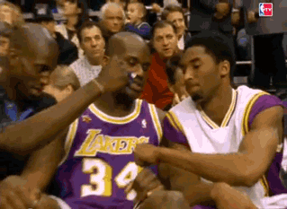 giphy.gif