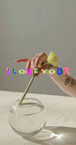 Weddings GIF