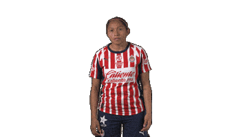 Liga Mx Futbol Sticker by Chivas Oficial