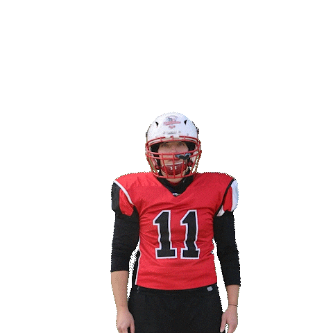 Scorpions Sisters Sticker