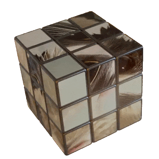 3D Sticker