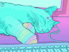 cats psychedelics GIF by Phazed