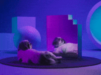 Perfect-body GIFs - Get the best GIF on GIPHY