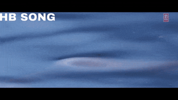 shakimahmmed  GIF