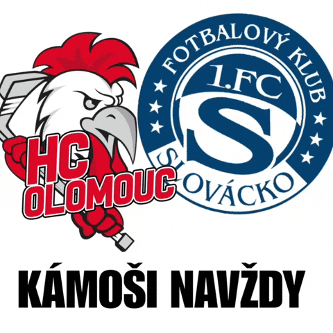 Fcs Slovacko GIF