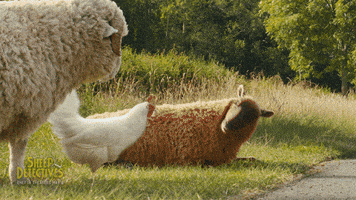 Lamb Shepherd GIF by The Sheep Detectives